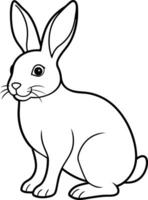 An outline illustration of a rabbit, sitting with long ears upright, drawn with soft, rounded lines on a white background. vector