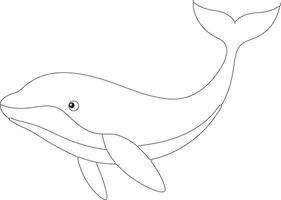 Wonderful whale outline illustration, swimming gracefully with a gentle curve, drawn with smooth, sweeping lines on a white background. vector