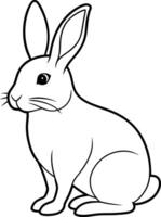 Rabbit outline illustration, sitting with long ears upright, drawn with soft, rounded lines on a white background. vector