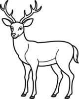 An outline illustration of a deer, standing gracefully with antlers visible, drawn with elegant and slender lines on a white background. vector