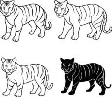 A package of Tiger outline or line art or sketch illustration prowling forward with an intense gaze depicted with simple lines on a white background vector