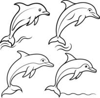 A package of Dolphin leaping out of the water in a fluid motion with clean curved lines on a white background vector
