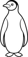 Penguin outline illustration standing upright with a sleek and streamlined shape drawn on a white background vector