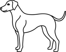 An outline illustration of a dog showing a simple and clean side profile hand drawn with smooth silhouette lines on a white background vector