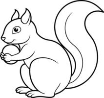 An outline illustration of a squirrel, holding a nut with its bushy tail curled, drawn with smooth lines on a white background. vector
