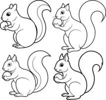 Cute squirrel outline or line art or sketch illustration package, holding a nut with its bushy tail curled, drawn with smooth lines on a white background. vector