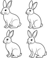 Cute Rabbit outline or line art or sketch illustration four rabbits package, sitting with long ears upright, drawn with soft, rounded lines on a white background. vector