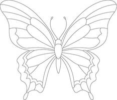 Butterfly outline or line art illustration, wings spread in symmetrical patterns, drawn with light and intricate lines on a white background. vector