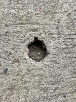 old concrete wall with cracks photo