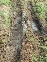 wheel track on muddy road photo