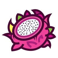 Sliced dragon fruit colorful icon illustration isolated on square white background. Simple flat outlined cartoon art styled drawing. vector