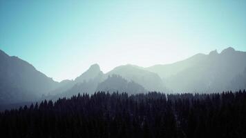 A mountain range with trees in the foreground and a blue sky in the background video