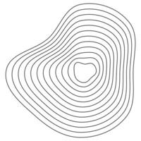Natural elevation flow. Organic contour shapes. Abstract topographic lines. Terrain-inspired waves. vector
