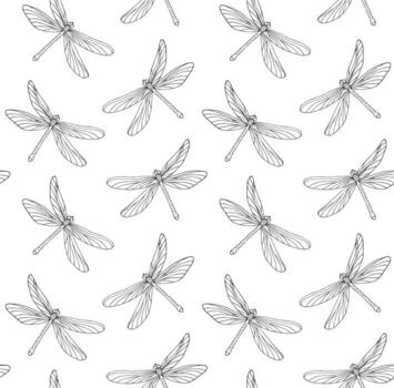 Seamless pattern of sketch dragonfly vector