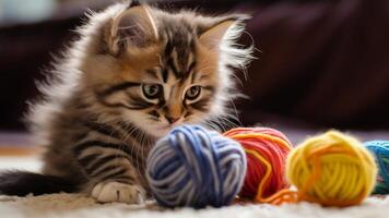 Cat happily tangled in yarn play photo