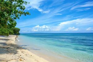 Palm and tropical beach for summer vacation banner with copy space. Blue Sea and white sand with empty place for text photo