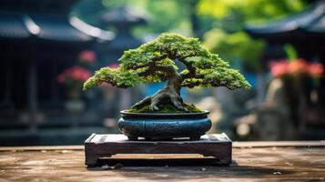 Creative backdrop for bonsai tree image photo