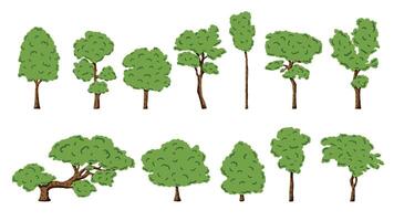 Collection image of various green trees with different shapes and sizes, featuring a hand-drawn style. Ideal for nature-themed designs, educational materials, and environmental projects. vector