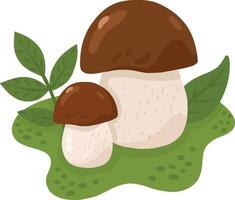 Porcini mushrooms in a forest clearing. A color image of wild mushrooms on a transparent background. Mushrooms. illustration for children's books and biology textbooks, menus. vector