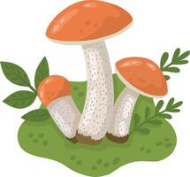 Porcini mushrooms in a forest clearing. A color image of wild mushrooms on a transparent background. Mushrooms. illustration for children's books and biology textbooks, menus. vector