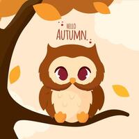 Cute autumn owl on tree with Hello Autumn text, vector