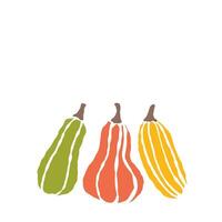 Trio of colorful squash varieties displayed against a white background during harvest season vector
