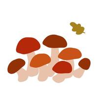 A group of colorful mushrooms growing together in a natural setting vector