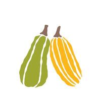 Two vibrant pumpkins, one green and one yellow, sitting side by side against a white background in a simple autumn display vector