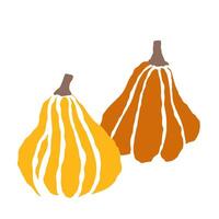 Brightly colored pumpkins on display at a local farmers market during autumn harvest season vector