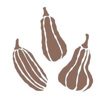 Trio of squash arranged stylishly against a plain backdrop for decoration vector
