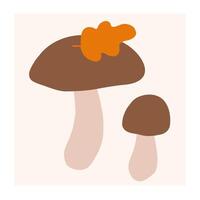 Two stylized mushrooms with an orange leaf found on a light background vector