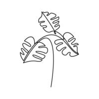 continuous mono line drawing of monstera leaf vector