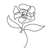 continuous mono line drawing of abstract roses vector