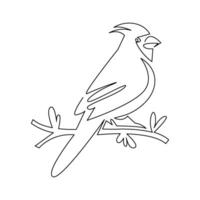 continuous line art or monoline drawing of cardinal bird vector