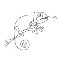 continuous monoline drawing of simple chameleon vector