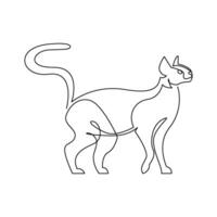 continuous line art or monoline drawing of simple cat vector