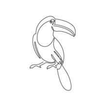 continuous mono line drawing of toucan bird vector