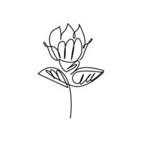 continuous mono line drawing simple flower vector
