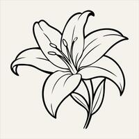 Lily Line Art llustration vector