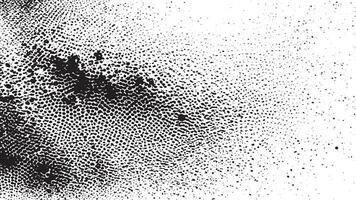 Rough Distressed Grunge Texture Overlay in Monochrome on White Background vector