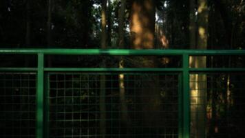 Green metal fence in the park. Blurred background. photo