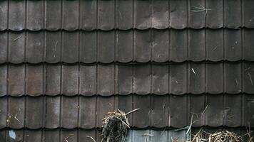 Roof tiles of a house in a rural area. photo