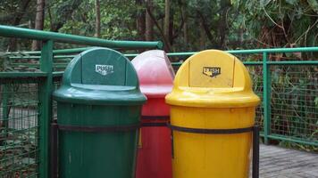 Colorful trash bins in a public park. Protecting the environment from waste that is difficult to decompose. photo