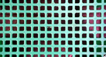 Abstract background of green plastic lattice with square holes. photo