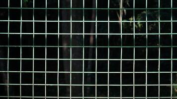 Green metal fence in the park. Abstract background with copy space. photo