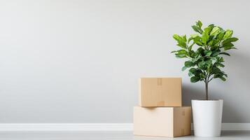 A serene interior scene featuring a potted plant and stacked boxes, perfect for home decor and minimalistic design concepts. photo