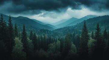 Top view of a dense green forest in nature, drone view of the reserve photo