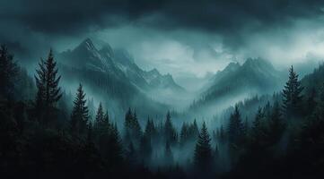 Top view of a dense green forest in nature, drone view of the reserve photo