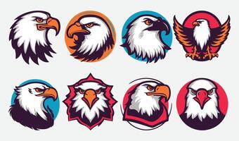 Artistic Eagle Head Graphics for Nature and Wildlife Enthusiasts vector