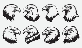 Set of Unique Eagle Head Illustrations for Custom T-Shirt and Graphic Design Needs vector